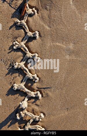 Knotted rope pattern on a sandy beach Stock Photo
