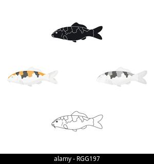 Carp-koi fish icon cartoon. Singe aquarium fish icon from the sea,ocean life . Stock Vector