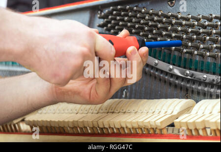 Professional master tuning the piano with ratchet tool. Stock Photo