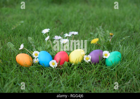 Six hen colored eggs  in a grass - Easter hunt in a garden Stock Photo