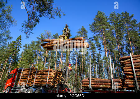 Crane in forest loading logs in the truck. Crane operator loading logs on to truck on a nice spring day. Timber harvesting and transportation in fores Stock Photo