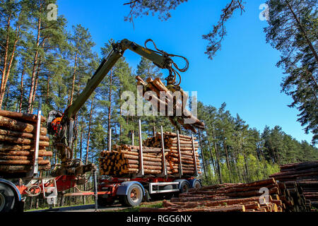 Crane in forest loading logs in the truck. Timber harvesting and transportation in forest. Transport of forest logging industry and forestry industry. Stock Photo