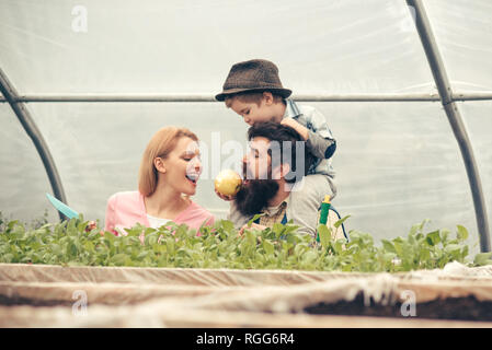 seed germinating. seed germinating concept. happy family watch on seed germinating. seed germinating or planting in greenhouse. paying attention to Stock Photo