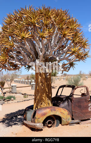 Old Car with quiver tree - Namibia Africa Stock Photo