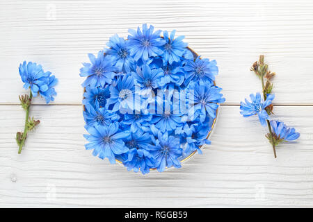 Chicory (Cichorium intybus) herb in a bowl. Alternative medicine concept on a white wooden table, top view (selective focus). Stock Photo