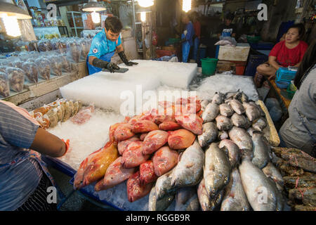 fresh fish at the seafood and fish market at the Naklua Fish Market in the city of Pattaya in the Provinz Chonburi in Thailand.  Thailand, Pattaya, No Stock Photo