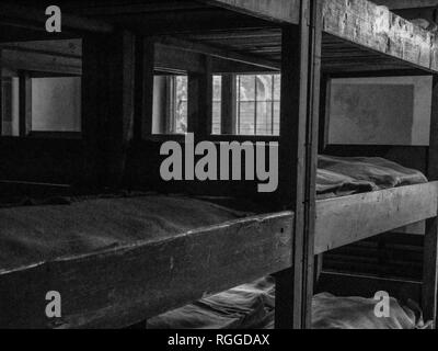 Beds / bunks in block 11, Auschwitz concentration and extermination camp, Oswiecim, Poland Stock Photo