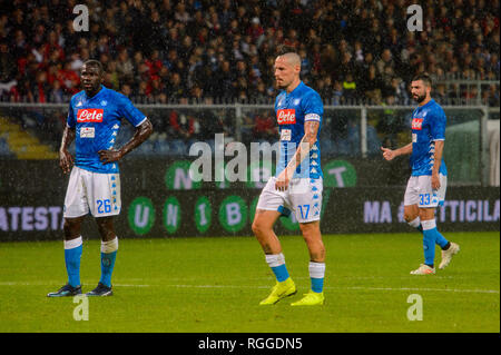 GENOVA - NOV 10, 2018: Genoa Fans. C.F.C Genoa - SSC Napoli