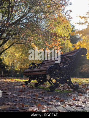 Victorian park benches under a tree with autumn coloured leaves surrounding it Stock Photo