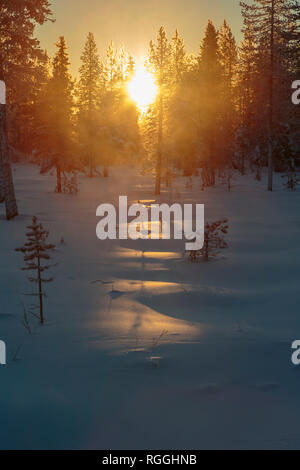 Winter landscape in direct light, shining through trees in a forest and fog and mist rising, Gällivare, Swedish Lapland, Sweden Stock Photo