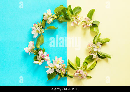 Wreath of spring branches on a blue and yellow background. Minimal easter concept. Top view flat lay background. Stock Photo