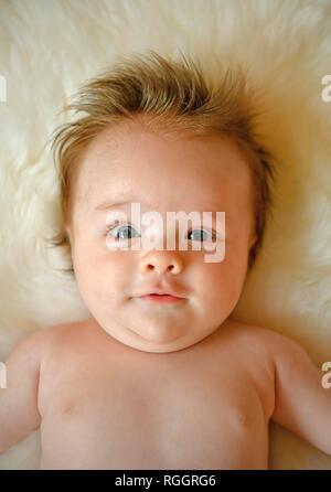 Infant, three months, lying on fur, portrait, Baden-Württemberg, Germany Stock Photo