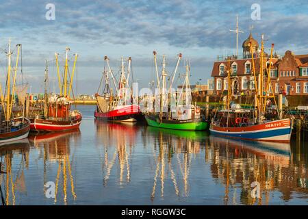 Fishing cutter in the harbour by evening sun, Neuharlingersiel, Lower Saxony, Germany Stock Photo