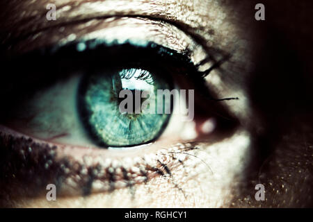 Green eye of made-up woman, close-up Stock Photo