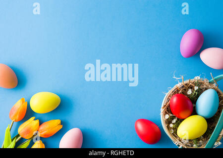 Colorful easter eggs in a basket and tulips on blue background. Top view. Copyspace Stock Photo