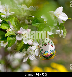Painted Easter egss hanging on the apple tree in the springtime Stock Photo