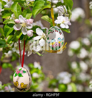 Painted Easter egss hanging on the apple tree in the springtime Stock Photo