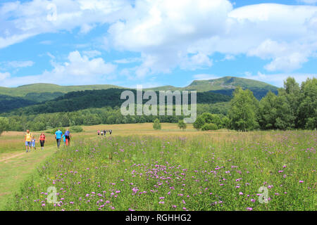 Tarnica. Highest mount in Bieszczady Mountains, Bieszczadzki National Park, Poland Stock Photo