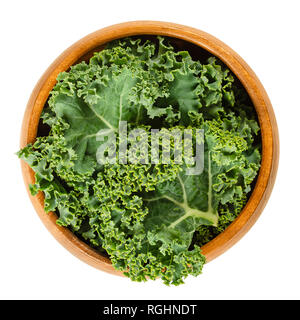 Fresh curly kale leaves in wooden bowl. Also called Scots kale, a leaf cabbage, Brassica oleracea. Edible green and healthy vegetable. Stock Photo