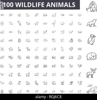 Wildlife animals editable line icons, 100 vector set, collection. Wildlife animals black outline illustrations, signs, symbols Stock Vector