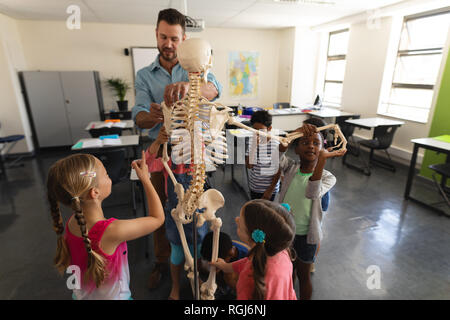 Male teacher explaining skeleton model in classroom of elementary school Stock Photo