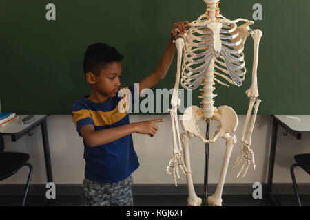 Front view of schoolboy explaining human skeleton model in classroom Stock Photo