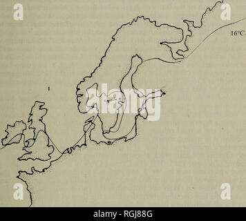 . Bulletin of the British Ornithologists' Club. 1956 13 Vol. 76 may have Mendelian rather than subspecific significance. It would be possible to denote such mixed poulations by the addition of the coined word ' 'miscegens&quot; after the authority. Thus, Willow Warblers from Scot- land would be referable to as Phylloscopus trochilus L. miscegens. We must ackowledge our indebtedness to Col. Meinertzhagen for help and advice, to Dr. J. G. Harrison for the loan of material from Scot- land and Western Europe and for very kindly supplying a fresh sound skin from the restricted type locality, also t Stock Photo