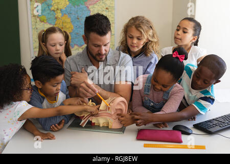 Front view of male Caucasian teacher explaining anatomy using anatomical model at desk with students who listen carefully in classroom of elementary s Stock Photo