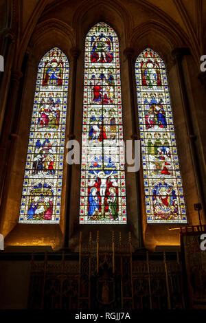 Stained glass windows in Salisbury Cathedral UK Stock Photo
