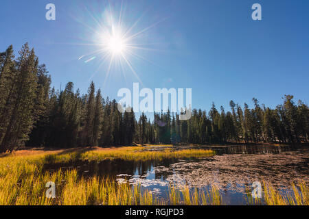 USA, California, Yosemite National Park, lake against the sun in autumn Stock Photo
