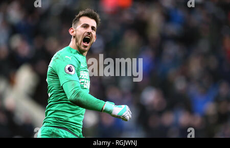 Newcastle United goalkeeper Martin Dubravka celebrates victory after the Premier League match at St James' Park, Newcastle. Stock Photo