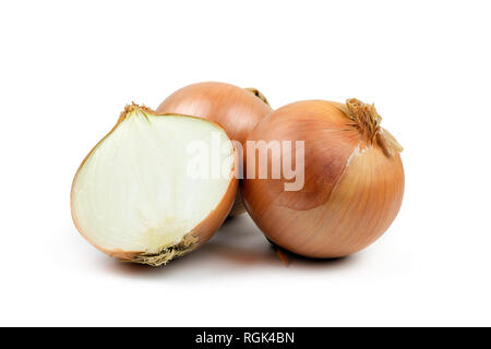 Ripe yellow onion on a white background Stock Photo