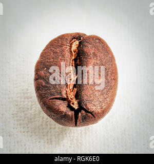 Close up macro photograph of a single coffee bean Stock Photo