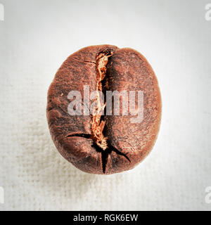 Close up macro photograph of a single coffee bean Stock Photo