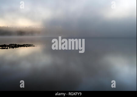 Lake Cassidy in Fog with beautiful sunrise and lake reflections of trees. Stock Photo