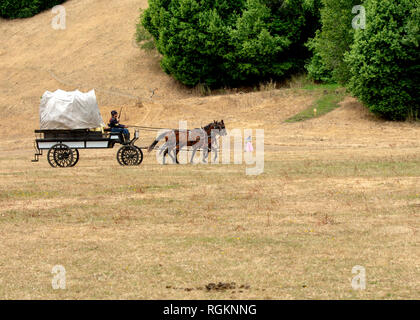 Duncan Mills, CA - July 14, 2018: Horse wagon at the Northern California's Civil war reenactment. This Civil War Days is one of the largest reenactmen Stock Photo