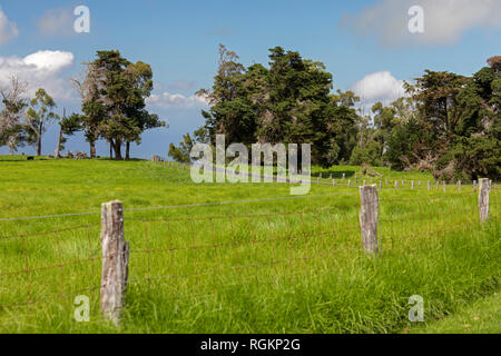Waikii, Hawaii - Ranch lands on the slopes of the dormant Mauna Kea volcano on Hawaii's Big Island. Stock Photo