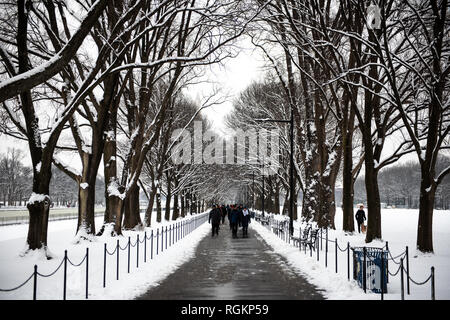 WASHINGTON, DC - Freshly fallen snow on trees lining a walkway along the Lincoln Memorial Reflecting Pool in Washington DC. Stock Photo