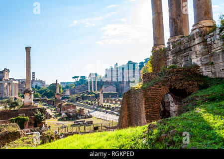 Rome, Italy - November 17, 2018: Column of Phocas and other famous historical attractions in Roman Forum site Stock Photo