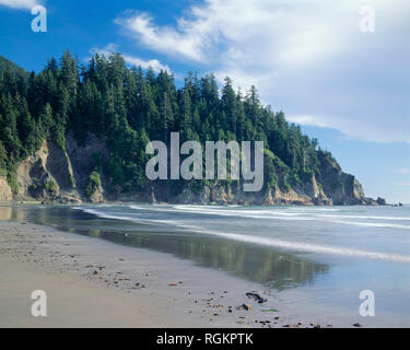 USA, Oregon, Oswald West State Park, Incoming tide, Short Sand Beach and old-growth Sitka spruce forest on coastal slopes. Stock Photo
