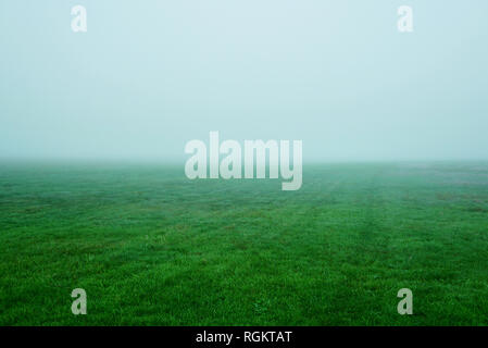 Green grass in the morning mist. Thick fog over green grass. USA, Michigan, Grand Haven Stock Photo
