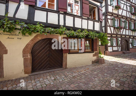 half-timbered houses with wine, town Schiltach, Black Forest, Germany, Kinzig valley Stock Photo