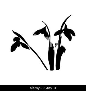 Snowdrop spring flowers black silhouette. Delicate Galanthus nivalis flower, spring symbols. Snowdrop blossoms. Sketsh style Stock Vector