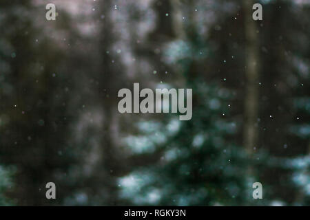 In color, in the mountain, snow falling and out of focus spruce, evergreen and birch trees forest background. Peace, winter holidays, end of year cele Stock Photo