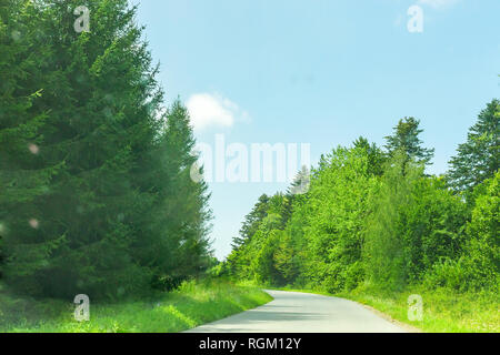 Summer landscape with winding asphalt road and green forest. Empty footpath through spring woodland at sunny light day, soft focus Stock Photo