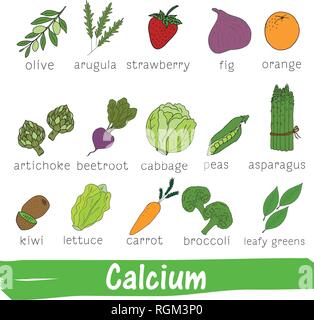Vegetables and fruits with a high content of Calcium. Hand drawn vitamin set Stock Vector