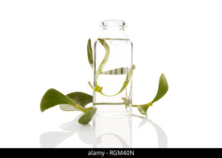 A bottle of herbal medicine with fresh mistletoe. Cold extraction. Immunity booster. Natural remedy. Stock Photo