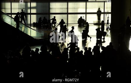 Beijing, China's Guangdong Province. 29th Jan, 2019. Tourists walks at Shenzhen north railway station in Shenzhen, south China's Guangdong Province, Jan. 29, 2019. Credit: Mao Siqian/Xinhua/Alamy Live News Stock Photo