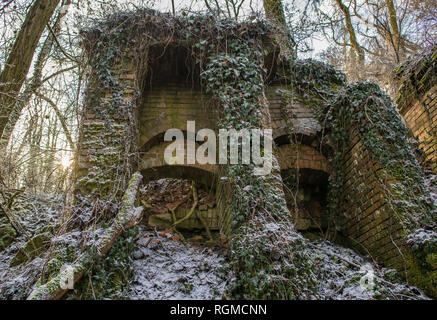 Sauen, Germany. 29th Jan, 2019. The ivy overgrown and partly collapsed building of the old steam brickworks. The Philipp Holzmann & Cie. steam tile factory, which is located in today's August Bier Foundation forest, started operations in 1891 and produced facing bricks, shaped bricks and roof tiles until 1912. Up to five different types of bats spend the winter every year in the vaults, some of which have already collapsed. These also include protected species such as the pug bat and the mouse ear. Credit: Patrick Pleul/dpa-Zentralbild/ZB/dpa/Alamy Live News Stock Photo