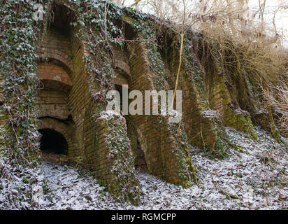 Sauen, Germany. 29th Jan, 2019. The ivy overgrown and partly collapsed building of the old steam brickworks. The Philipp Holzmann & Cie. steam tile factory, which is located in today's August Bier Foundation forest, started operations in 1891 and produced facing bricks, shaped bricks and roof tiles until 1912. Up to five different types of bats spend the winter every year in the vaults, some of which have already collapsed. These also include protected species such as the pug bat and the mouse ear. Credit: Patrick Pleul/dpa-Zentralbild/ZB/dpa/Alamy Live News Stock Photo